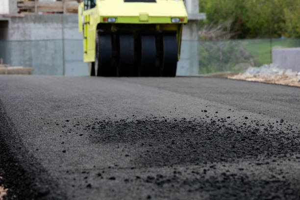Best Driveway Pavers Near Me  in Indian Hills, NM