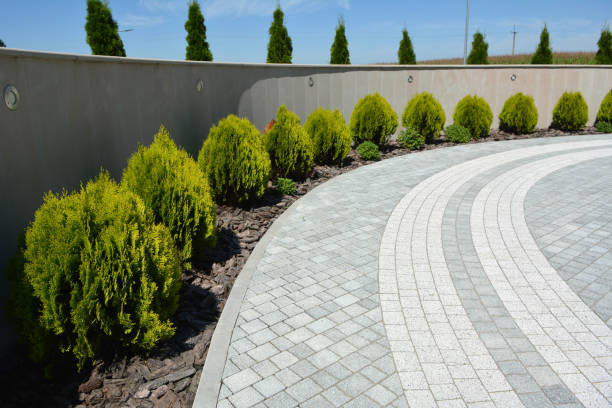 Best Interlocking Driveway Pavers  in Indian Hills, NM